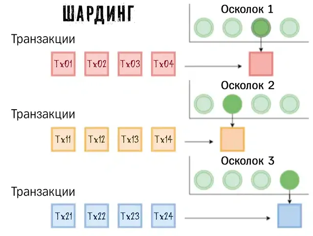 Схема работы шардинга в криптовалютном блокчейне