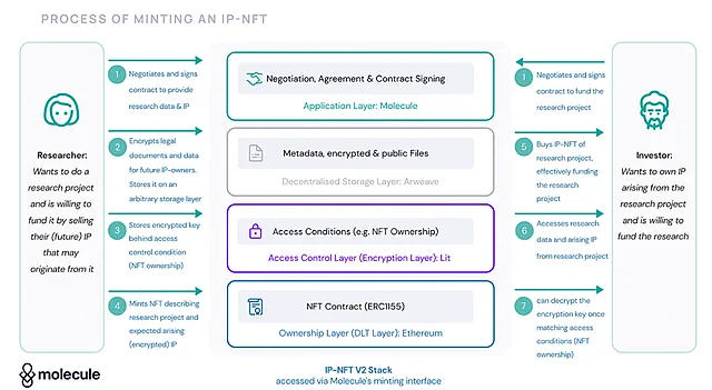 Как происходит финансирование науки с помощью IP-NFT