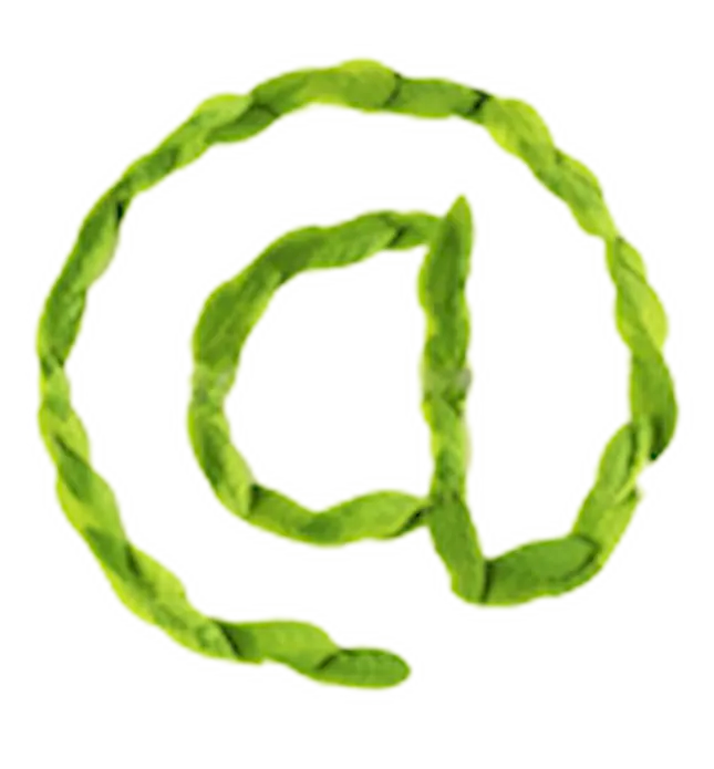 Логотип сайта «Обзор Сбербанк ОнЛайн»